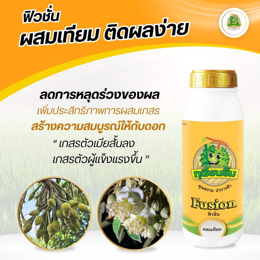 Fusion ( ฟิวชั่น ) ปุ๋ยทุเรียน เพิ่มประสิทธิภาพการผสมเกสร ลดการหลุดล่วงของผล สร้างความสมบูรณ์ให้กับดอก