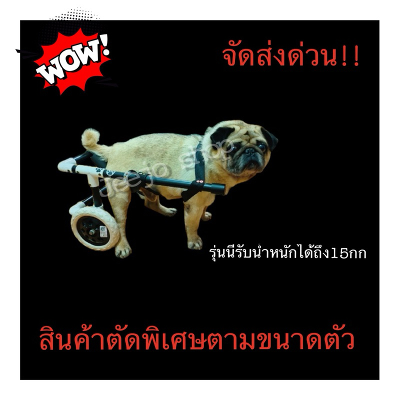 วีลแชร์สำหรับสุนัขและแมว