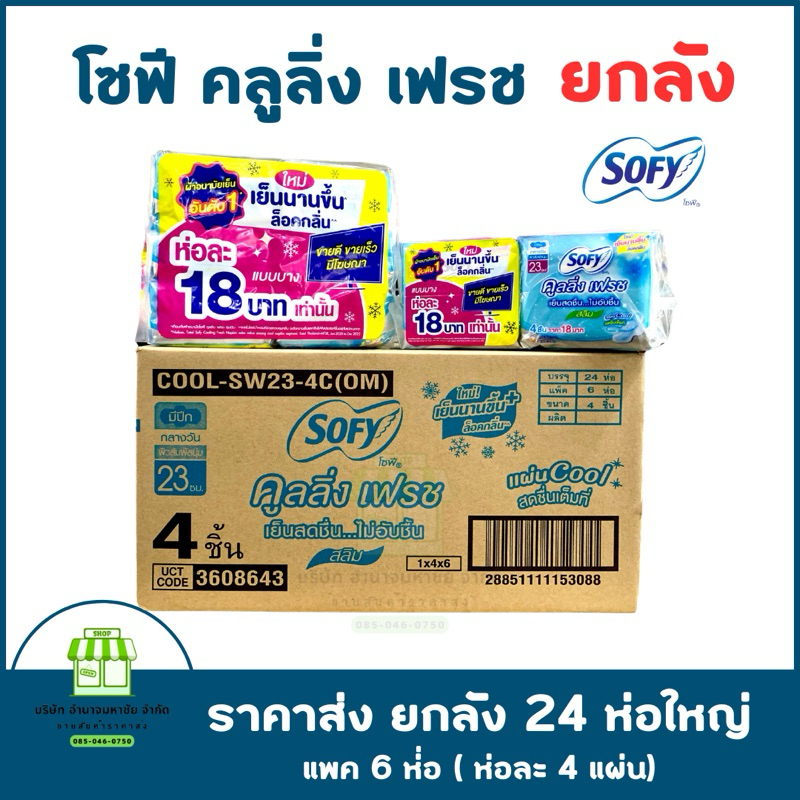 (ยกลัง) กลางวัน 23 ซม. ผ้าอนามัย โซฟี คูลลิ่ง เฟรช สลิม รวม 24 แพ็ค 96 ชิ้น (แพ็ค 4 ชิ้น) Sofy Cooli
