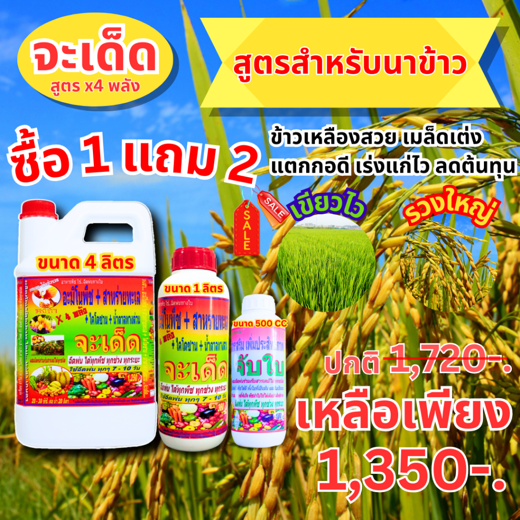 จะเด็ด “สูตร X4 พลัง” โปรโมชั่น 1 แถม 2 ฉีดพ่นทางใบ สูตรสำเร็จสำหรับ “นาข้าว” ลดการใช้ปุ๋ยเคมี พืชสมบูรณ์ โตไว เขียวเร็ว