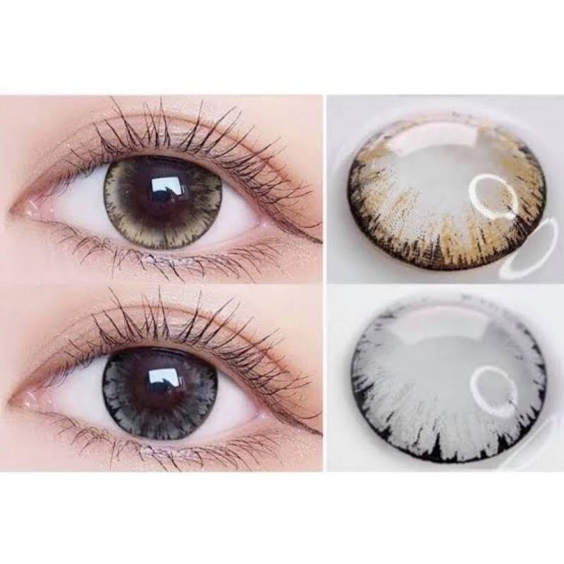 คอนแทคเลนส์ เกล็ดหิมะ รุ่น Tommy gray/Brown/black  รายเดือน มี อย.
