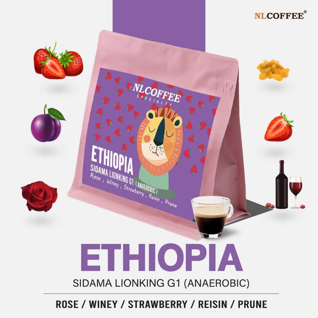 NLCOFFEE SPECIALTY เมล็ดกาแฟ Ethiopia Sidamo Lion King G1 (Anaerobic Natural)