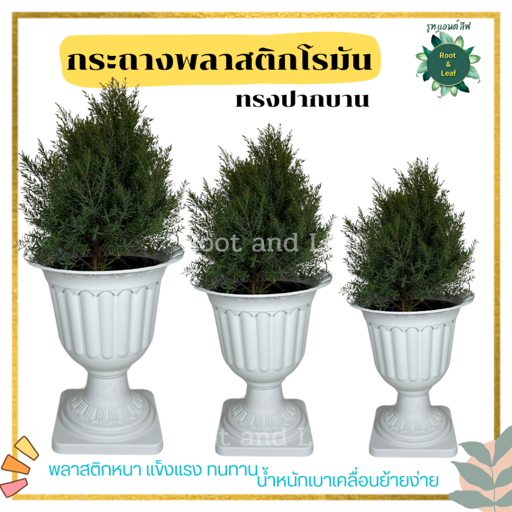 กระถางโรมัน ทรงปากบาน  สีขาว สวยหรู ทรงสูง กระถางพลาสติกอย่างหนา เกรด AAA รูปทรงสวยงาม น้ำหนักเบา เคลื่อนย้ายสะดวก ไม่หน