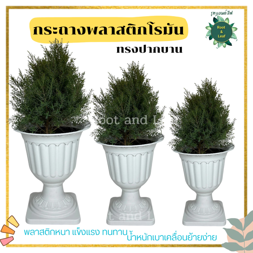 กระถางโรมัน ทรงปากบาน สีขาว สวยหรู ทรงสูง กระถางพลาสติกอย่างหนา เกรด AAA รูปทรงสวยงาม น้ำหนักเบา เคลื่อนย้ายสะดวก ไม่หน