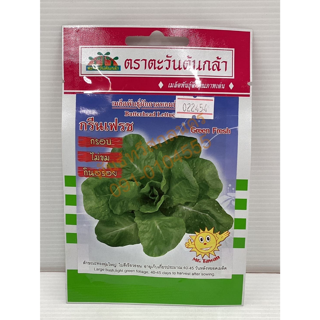 ผักกาดหอม กรีนเฟรช V68