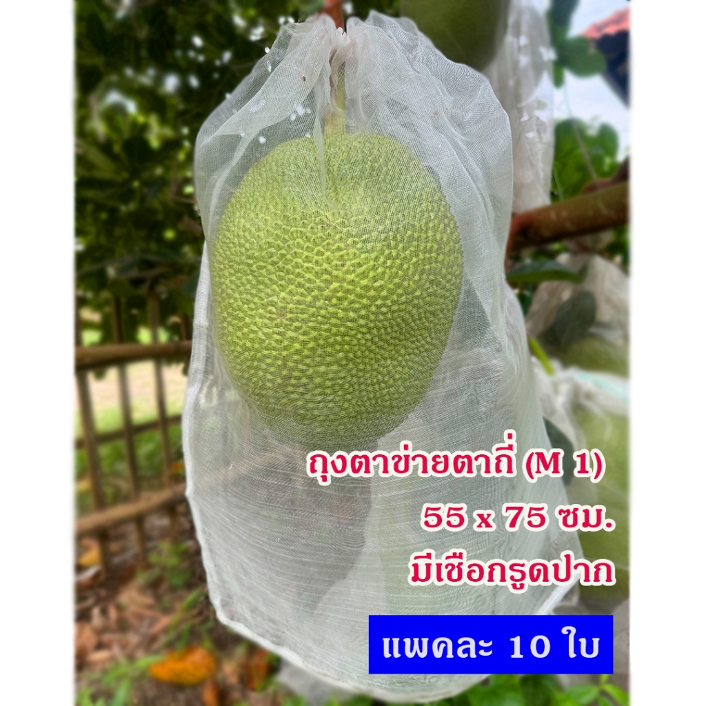 แพคละ 10 ใบ ถุงตาข่ายไนล่อน ขนาด 55x75 ซม.(M 1) ห่อขนุน ห่อผลไม้ ห่ออินทผลัม