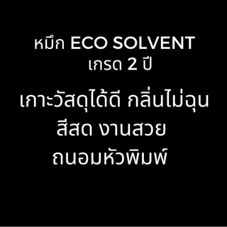 หมึกEco Solvent เกรด2ปี