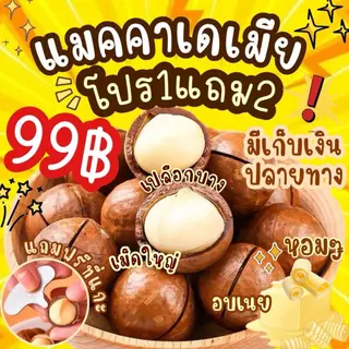 1แถม2 ได้3ถุง แมคคาเดเมีย มีให้เลือก2ไซต์ เม็ดใหญ่ เปลืองบาง เนื้อเยอะ ตุ๊กกี้ตัวแสบ