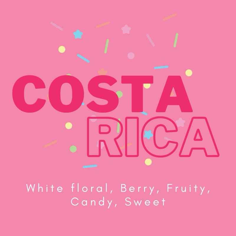 COSTA RICA (Single Origin) 150g