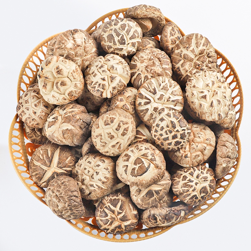 เห็ดหอมพันธุ์ญี่ปุ่น,AAAA5.(500g)