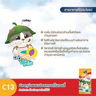 [ยกโหล มีโทเคน] VIF Felina Canino วิฟ อาหารเปียก ไม่เค็ม ไม่เติมเกลือ มีทอรีน เยลลี่ เจลลี่ Jelly เกรวี่ 12 ซอง คละได้