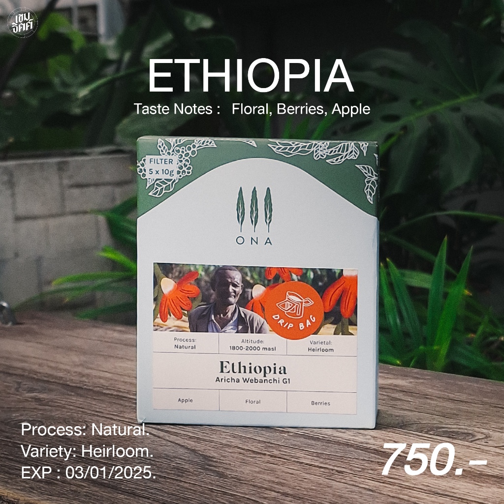 กาแฟ Drip Bag จากโรงคั่วออสเตรเลีย ONA Coffee Ethiopia Aricha Webanchi G1 1กล่อง 5ซอง
