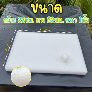ฟองน้ำปลูกผักไฮโดรโปนิกส์ ฟองน้ำเพาะต้นกล้า ฟองน้ำแบบละเอียด มีขอบ