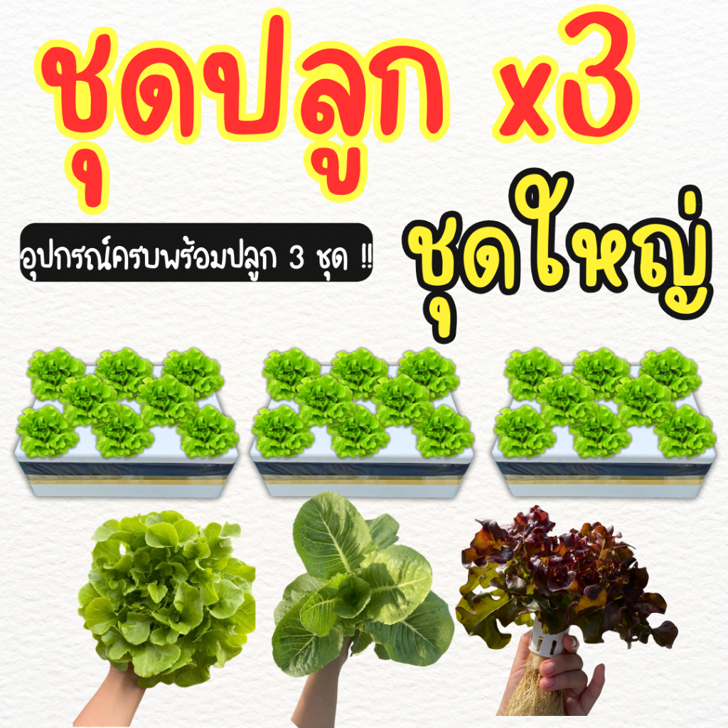 ชุดปลูกผักไฮโดรโปนิกส์ ชุดปลูกผักชุดใหญ่ อุปกรณ์ครบ เมล็ดผัก 3 ชนิด (**ชุดใหญ่ 3 กล่องโฟม**)