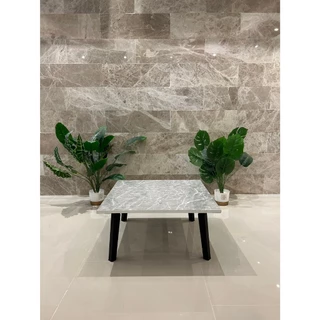 Home Best 60x60 โต๊ะพับญี่ปุ่น ที่มีขายในB2S เกรดเอ มาตรฐานสูง ผลิตในไทย