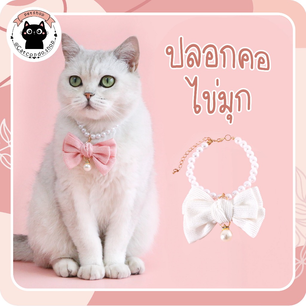 🌵 ปลอกคอไข่มุก ปลอกคอแมว หมา ปลอกคอสัตว์เลี้ยง สำหรับแมว สำหรับสุนัข โบว์น่ารัก ไข่มุก 🌵