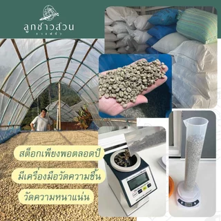 กาแฟคั่ว ดอยผาฮี้ ขนาดใหม่ ขนาด 100g. อาราบิก้า100% ถุงซิปล็อค - กาแฟคั่วลูกชาวสวน