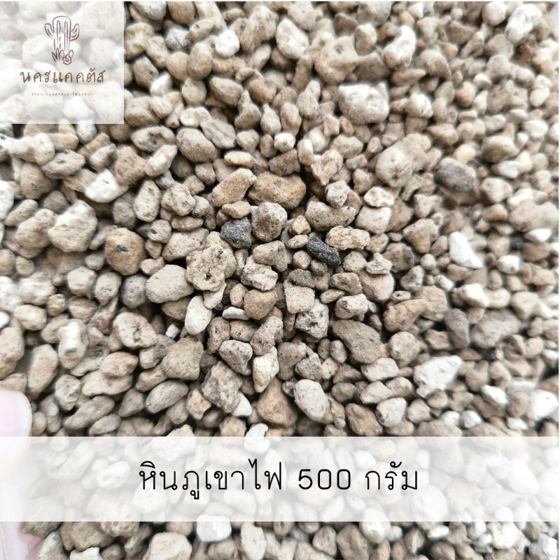 พร้อมส่ง ❗หินภูเขาไฟ วัสดุปลูกแคคตัส กระบองเพชร รอง กันกระถาง ผสมดินปลูก