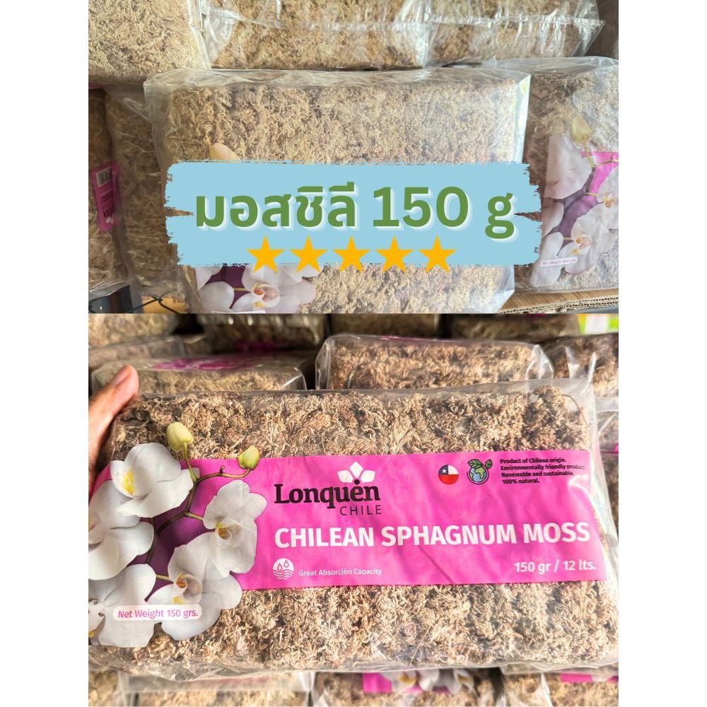 สแฟกนั่มมอส มอสชิลี 150 กรัม (Chilean Sphagnum Moss)