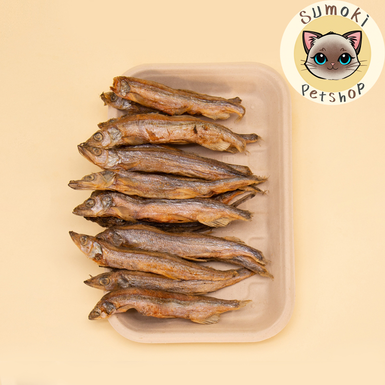 ปลาไข่ฟรีซดราย เต็มชิ้น ไข่แน่น ปลาไข่อบแห้ง ขนมสัตว์เลี้ยงหมาแมว