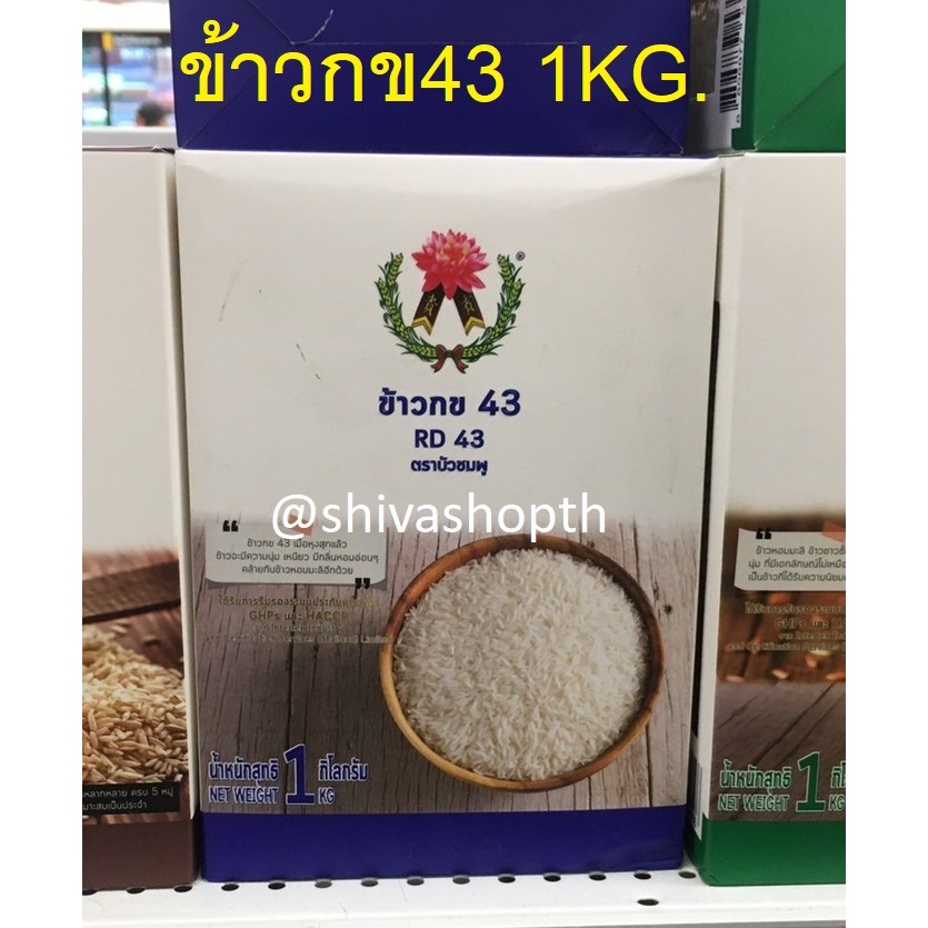 1KG. ข้าวกข43 บัวชมพู RD43 Rice