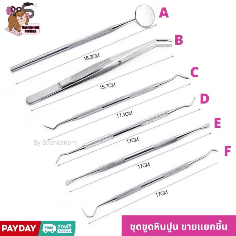 ส่งฟรี ส่งไว พร้อมส่ง ที่ขูดหินปูนสัตว์เลี้ยง สแตนเลสแท้ (304)ขูดเองได้ที่บ้าน สะดวก ปลอดภัย จ่ายปลายทางได้ ขายเป็นชิ้น