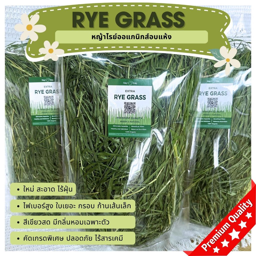 ✳️LOT ใหม่ 2026 ✳️หญ้าไรย์ Rye grass ใบเยอะ ไฟเบอร์สูง คัดพิเศษ เกรดพรีเมียม สำหรับกระต่ายและสัตว์ฟันแทะทุกชนิด