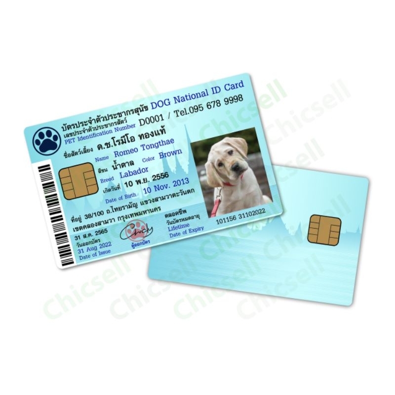บัตรประชาชนสัตว์เลี้ยง สามารถทำได้ทุกชนิด เป็นงานสี 2 หน้าสวยงาม