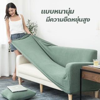 【COD】ส่งจากไทย🛋️ผ้าคลุมโซฟา 1/2/3/4 ที่นั่ง แบบยืดหยุ่น ปลอก…