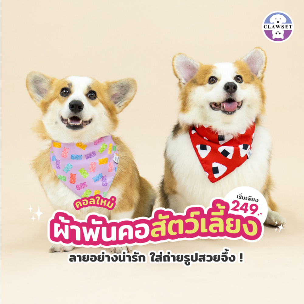 ผ้าพันคอสัตว์เลี้ยง I'm So Hungry ผ้าพันคอหมาแมว ทรงสามเหลี่ยม พร้อมส่ง