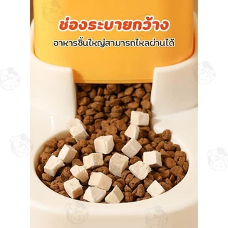 ถ้วยอาหารแมว ชามอาหารสัตว์เลี้ยง เครื่องให้อาหารแมวอัตโนมัติ ที่ให้อาหารอัตโนมัติ WB