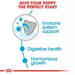 Royal Canin Mini Puppy อาหารเม็ดลูกสุนัขพันธุ์เล็ก แบบแบ่งขาย Repack