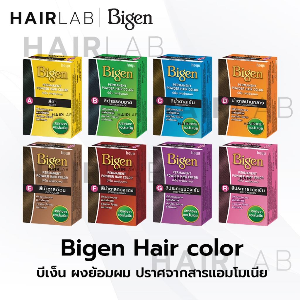พร้อมส่ง Bigen Permanent Powder Hair Color 6g บีเง็น ผงย้อมผม ไม่มีแอมโมเนีย ปิดผมขาว