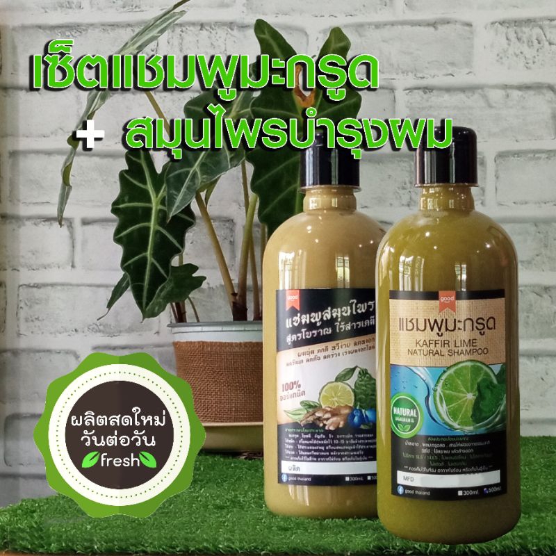500ml เซ็ทแชมพูมะกรูด สูตรฟองจากธรรมชาติ+สมุนไพรบำรุงผม มะกรูด อัญชัน ขิง บอระเพ็ด  ORGANIC
