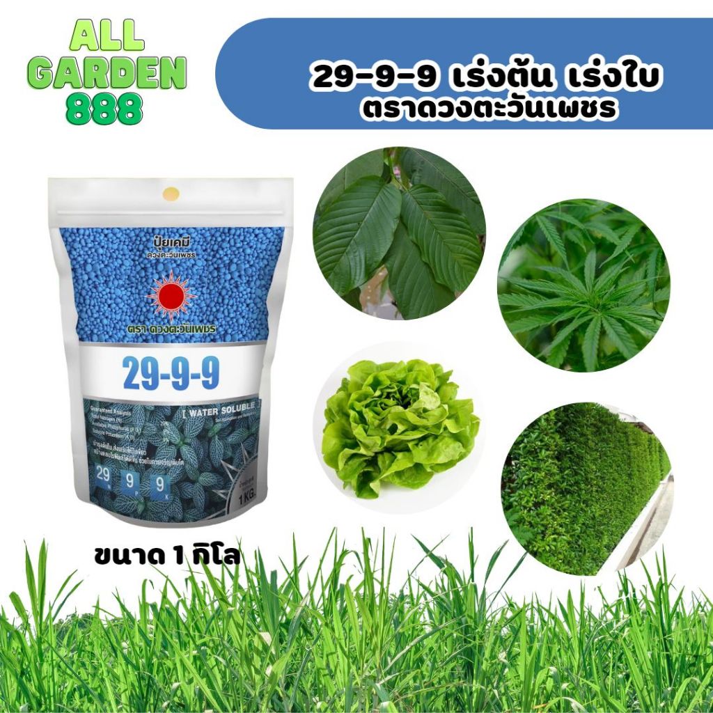 ปุ๋ย เร่งต้น เร่งใบ เร่งราก 29-9-9 1kg ดวงตะวันเพชร