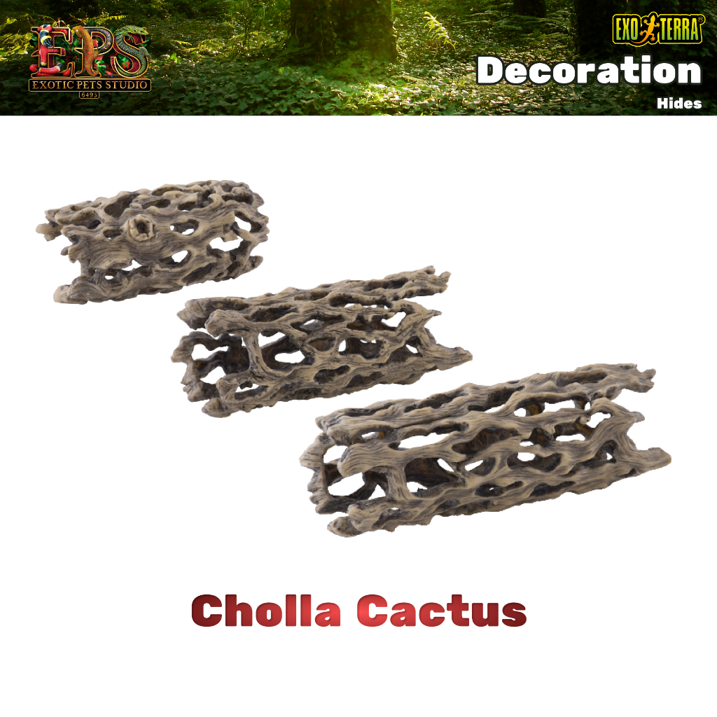 Exo Terra Cholla Cactus ที่ซ่อนตัวรูปแบบต้นกระบองเพชร (S / M / L)
