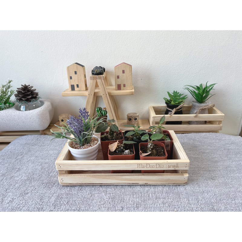 Madoodiiz กล่องไม้ กะบะไม้ ถาดไม้(กล่องโดเร)24*12.5*5.5cm พร้อมส่ง - รูปที่ 5