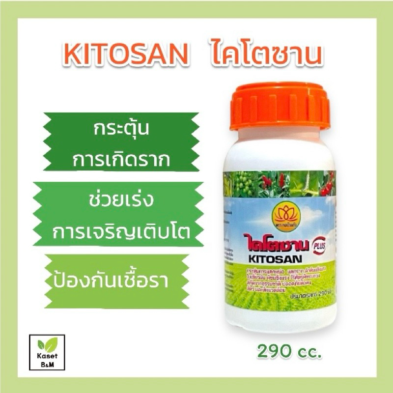 CHITOSAN ไคโตซาน กระตุ้นการแตกหน่อ แตกราก ใบเขียวสด