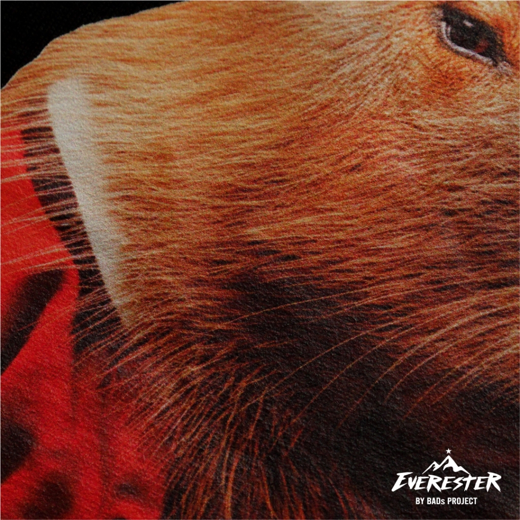 EVERESTER เสื้อคอฟิต อก 44"- 52" Heavy Cotton / เสื้อยืด Oversized รุ่น Capybara / เสื้อยืดคอกลมชาย EXP