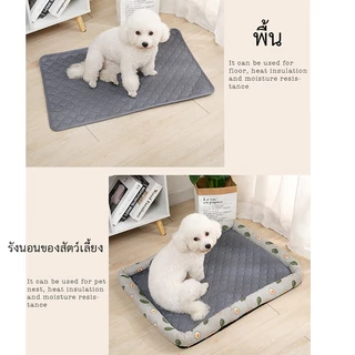 แผ่นรองฉี่สัตว์เลี้ยง ซักใช้ซ้ำได้ ผ้าซับฉี่ ผ้ารองฉี่หมา เเมว กระต่าย เมเปิ้ล maple สุนัข คลุมเบาะ ซึมซับได้ดี มีกันลื่