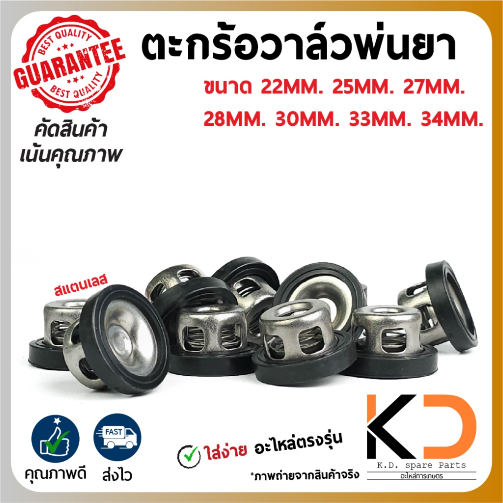 ตะกร้อวาล์ว ปั๊มพ่นยาสามสูบ ปั๊ม767 สแตนเลส ขนาด 21,22,25,27,28,30,34,35 (มิล) ส่งจากไทย