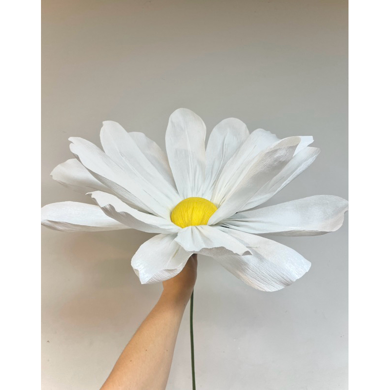 ดอกเดซี่ Daisy flower ดอก 50-80 ซม ยาว ~ 70-80ซม ดอกไม้ยักษ์, Giant flower, วาเลนไทน์ ของขวัญ พร็อพถ่ายรูป paper flower - รูปที่ 2