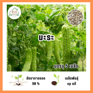 เมล็ดพันธุ์ มะระ บรรจุ 5 เมล็ด