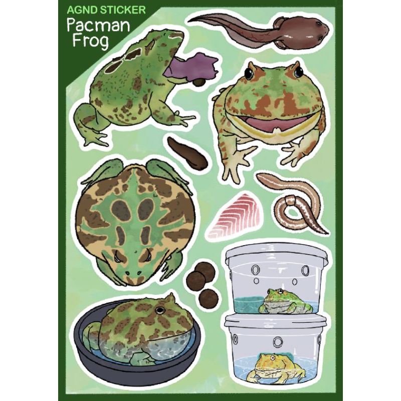 AGND สติ๊กเกอร์กบ สติ๊กเกอร์ไดคัท สติ้กเกอร์ติดเคส กบ กบฮอร์นฟร็อก Pacman frog Horned frog sticker