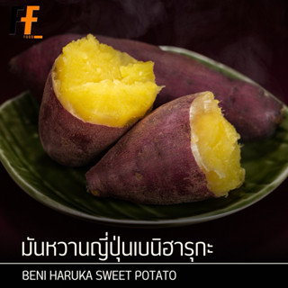 มันหวานญี่ปุ่นเบนิฮารุกะ 1 กิโลกรัม | BENI HARUKA SWEET POTA…
