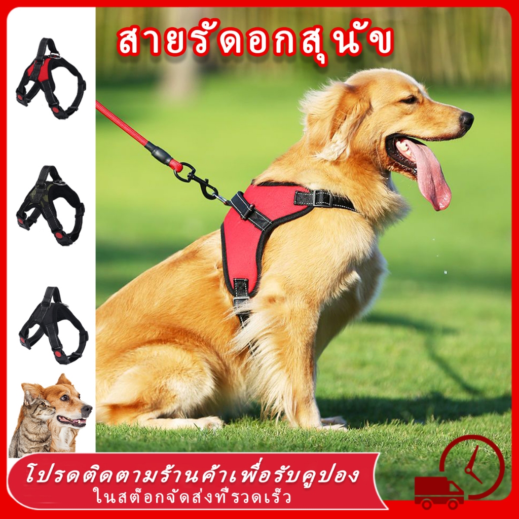 เชือกจูงสุนัข สายรัดอกสุนัข สายรัดอก สายจูงสุนัข พันธุ์กลาง-ใหญ่ หลายสี หลายไซส์ สายจูงหมา จูงสัตว์เลี้ยง สวยมาก