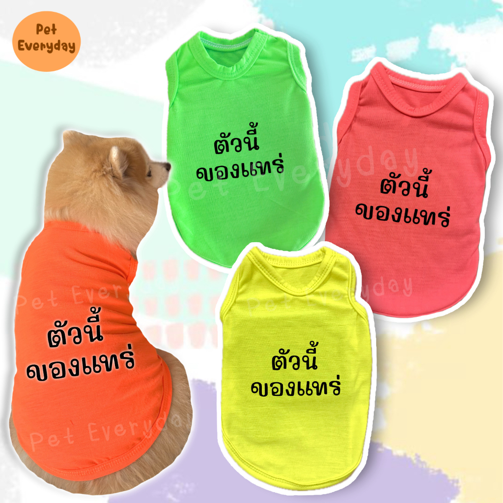 เสื้อSummerสุดจี๊ด กล้ามสัตว์เลี้ยงสีนีออน ชุดน้องหมา น้องแมว เสื้อสกรีนคำคมโดนๆ ใส่ฤดูร้อน
