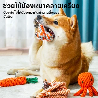 yoyopet : เชือกกัด ขัดฟันสุนัข ของเล่นสัตว์เลี้ยง กัดเพลิน ขัดฟันสะอาด มีหลายแบบให้เลือก น่ารัก