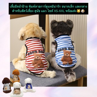 MG-1128 เสื้อยืดผ้าฝ้ายลายการ์ตูนหมีสุดน่ารัก สำหรับสัตว์เลี…