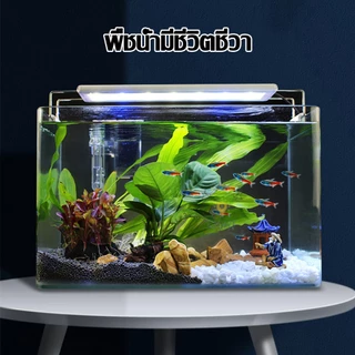 โคมไฟตู้ปลา LEDรุ่น40-60CM ปรับแสงไฟได้3แบบ/หลายสีLEDกันน้ำและละอองน้ำได้ขนาด8-24นิ้ว ประหยัดไฟ